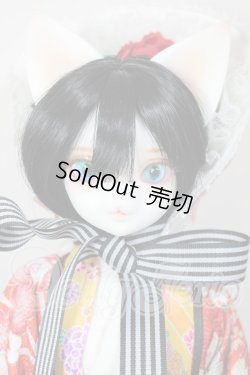 画像1: DEAR MINE/VIVIEN L. ~ 初夢 ver. Limited A-26-04-29-253-NY-ZA