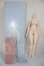 画像5: imomodoll/40ｃｍボディ A-26-04-29-254-NY-ZA (5)