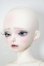 画像2: MYOU DOLL/Michelle SP A-26-05-05-120-NY-ZA (2)