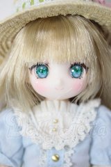 azone/アイリスコレクトプチ Miraーみらー Letters and Flowers(Blue Nemophila ver.) A-26-04-29-257-NY-ZA