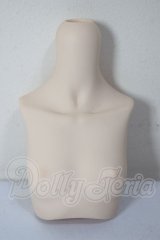MDD/上半身パーツ A-26-05-05-179-NY-ZA