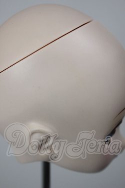 画像5: DDH-01/メイク済みヘッド A-26-05-05-178-NY-ZA