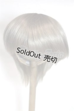 画像1: 8-9inch/ウィッグ/インチ　BJD　MJD　ドール用 A-26-05-12-027-NY-ZA