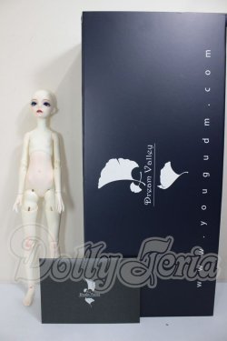 画像5: Dream Valley/Silence A-26-05-05-121-NY-ZA