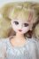 画像1: #Licca/#パピーパピーウォーク A-26-05-05-229-NY-ZA (1)