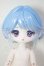 画像1: ボニーバニー6/兎の夢匣:ランシー A-26-05-05-223-NY-ZA (1)