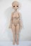 画像2: imomo DOLL/Apsu ヘッド A-26-05-05-343-NY-ZA (2)