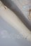 画像7: MYOU DOLL/Dou Dou 1/4 Ver. A-26-05-05-301-NY-ZA (7)