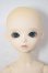 画像1: BF/TF：MAY A-26-05-05-248-NY-ZA (1)