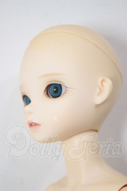 画像2: BF/TF：MAY A-26-05-05-248-NY-ZA