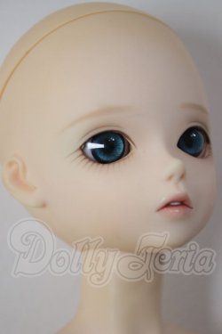 画像6: BF/TF：MAY A-26-05-05-248-NY-ZA