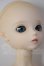 画像6: BF/TF：MAY A-26-05-05-248-NY-ZA (6)