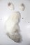 画像1: MDD/キツネ耳・尻尾 A-26-05-05-285-NY-ZA (1)