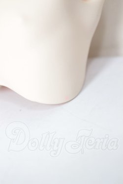 画像3: MDDサイズ/男の子用ボディパーツ A-26-05-05-256-NY-ZA