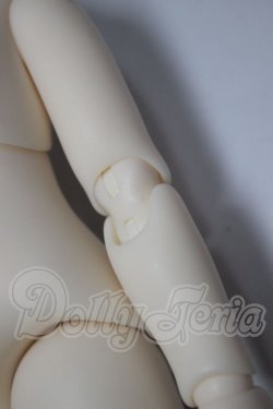 画像3: TinyFox/新ボディ　1/6サイズ A-26-05-05-371-NY-ZA