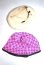 画像2: ネオブライス/OF:小物 A-26-05-19-071-NY-ZA (2)