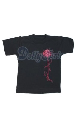 画像1: SD13BOY/OF:Tシャツ A-26-05-19-043-NY-ZA