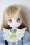 画像1: azone/1/6アイリスコレクトプチ Ruchiru（るちる）/ Flowers of Serenity（Blue Myosotis ver.） A-26-05-12-109-NY-ZA (1)