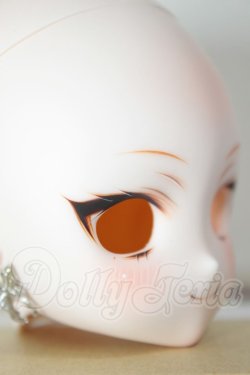 画像2: DD/DDH-27　カスタムヘッド A-26-05-12-108-NY-ZA