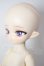 画像3: TinyFox/MOKOI A-26-05-12-152-NY-ZA (3)