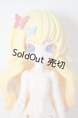 きのこ菌/タマゴタケ A-26-05-12-303-NY-ZA
