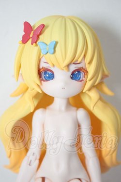 画像1: きのこ菌/タマゴタケ A-26-05-12-303-NY-ZA
