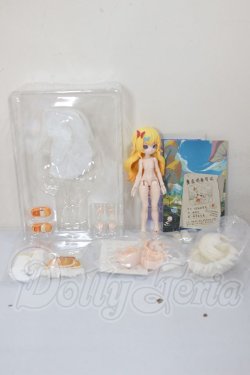 画像4: きのこ菌/タマゴタケ A-26-05-12-303-NY-ZA