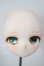 画像1: DDH-01/GAIA様カスタム A-26-05-19-111-NY-ZA (1)