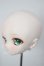 画像3: DDH-01/GAIA様カスタム A-26-05-19-111-NY-ZA (3)