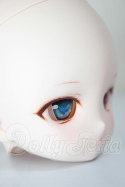 画像2: DD/DDH-27 (カスタマー様)カスタムヘッド A-26-05-19-156-NY-ZA