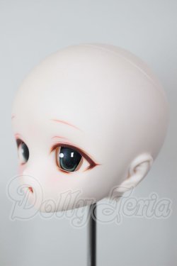 画像3: DD/DDH-01 カスタムヘッド A-26-05-19-107-NY-ZA