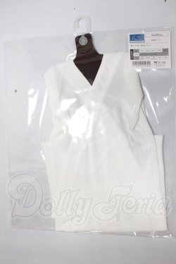 画像1: SD/OF:着物用インナー A-26-05-19-317-NY-ZA