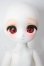 画像1: TinyFox/ 狐狐神・闇神グラファ A-26-05-19-310-NY-ZA (1)