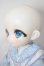 画像4: TinyFox/海月神衣 狐狐神降臨Ver.  A-26-05-19-309-NY-ZA (4)
