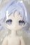画像1: ボニーバニー6/兎の夢匣 邦倪 A-26-05-26-208-NY-ZA (1)