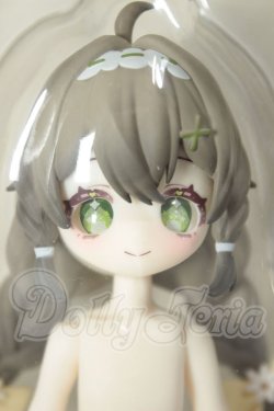 画像1: 造物の心/雛菊 A-26-05-26-211-NY-ZA