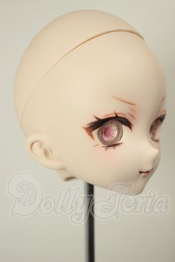 画像2: DD/DDH-10 カスタムヘッド A-26-05-26-214-NY-ZA