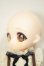 画像2: TinyFox/Mousseムース A-26-05-26-350-NY-ZA (2)
