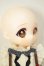 画像3: TinyFox/Mousseムース A-26-05-26-350-NY-ZA (3)
