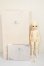 画像5: Asleep Eidolon/Cordelia30ｃｍ A-26-05-26-349-NY-ZA (5)