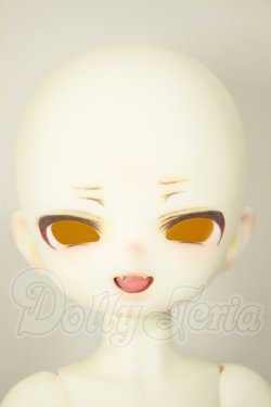 画像1: MayDoll/人間タイプ・れもん猫・薮猫ヘッド A-26-05-26-352-NY-ZA