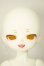 画像1: MayDoll/人間タイプ・れもん猫・薮猫ヘッド A-26-05-26-352-NY-ZA (1)