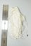 画像2: MDD/OF:ヘッドドレス A-26-05-26-358-NY-ZA (2)