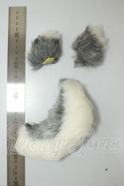 画像2: MDD/狼みみ・尻尾 A-26-05-26-369-NY-ZA