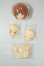 画像1: AZONE/ミミーガーデン　ヘッド A-26-05-26-380-NY-ZA (1)