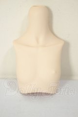 MDD/上半身パーツ A-26-05-26-389-NY-ZA