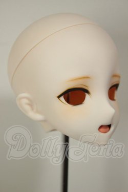 画像2: DD/DDH-09:カスタムヘッド A-26-06-02-163-NY-ZA