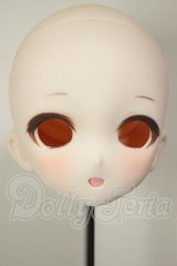 DD/DDH-10:カスタムヘッド A-26-06-02-170-NY-ZA
