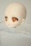 画像3: DOLLCE/DC11-02　ヘッド A-26-06-02-199-NY-ZA (3)