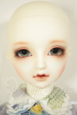 画像1: SD女の子/フルチョイス F-63 A-26-06-02-203-NY-ZA